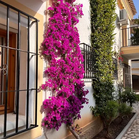 Apartment De Flores - Vera